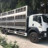 Xe Chở Heo Isuzu FVM34WE4 - 11 Tấn